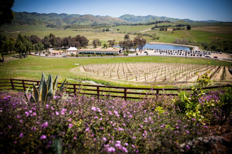 Book This New Romantic San Luis Obispo Wedding Venue Before Their ...